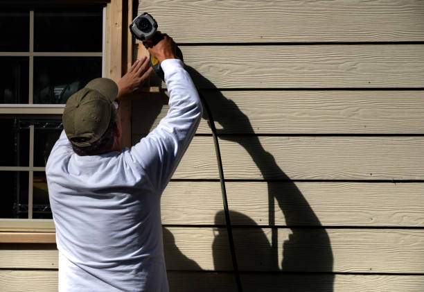 Best Custom Siding Design  in Spring Creek, NV